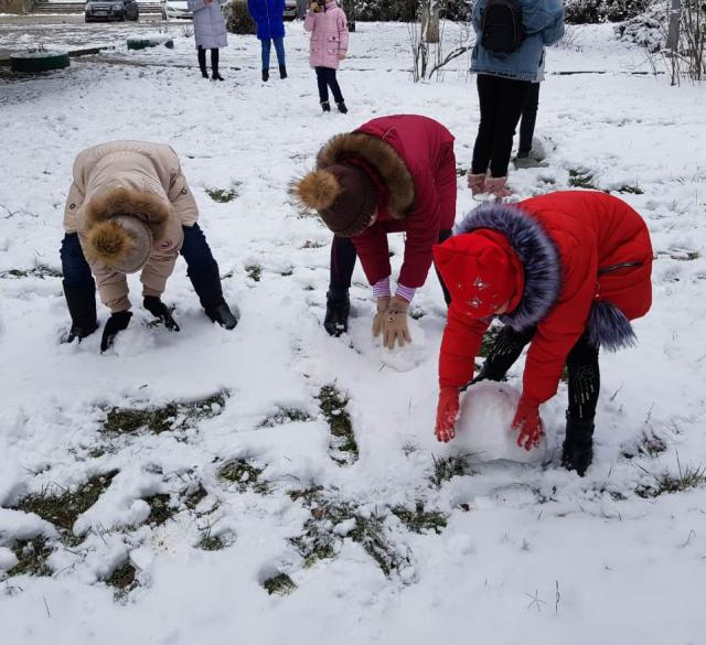Image 2020-01-10 3